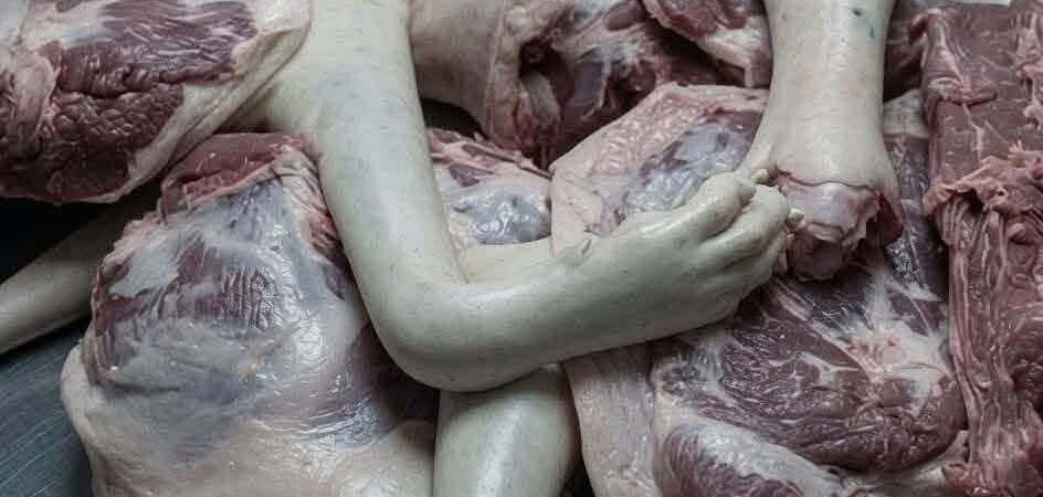 Imagen viral de un supuesto hallazgo genera alarma y dudas sobre su autenticidad